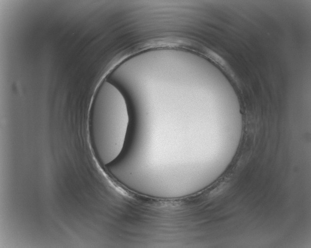 X0000068720802200604280923