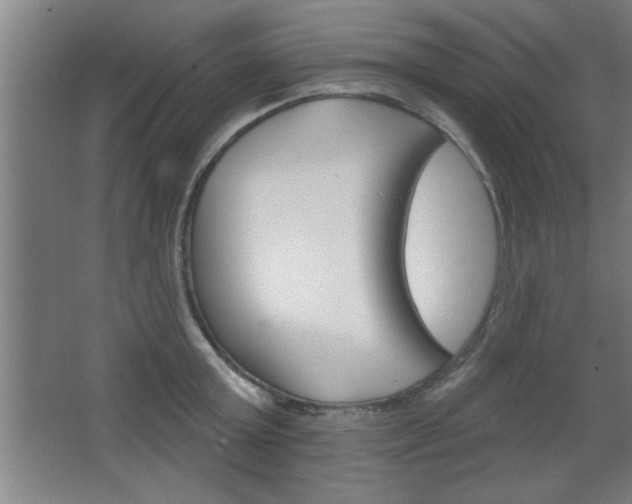 X0000068720803200604280923