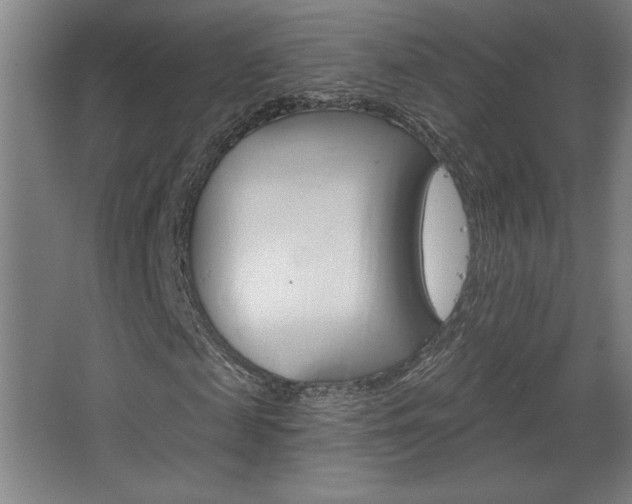 X0000068720817200604280922