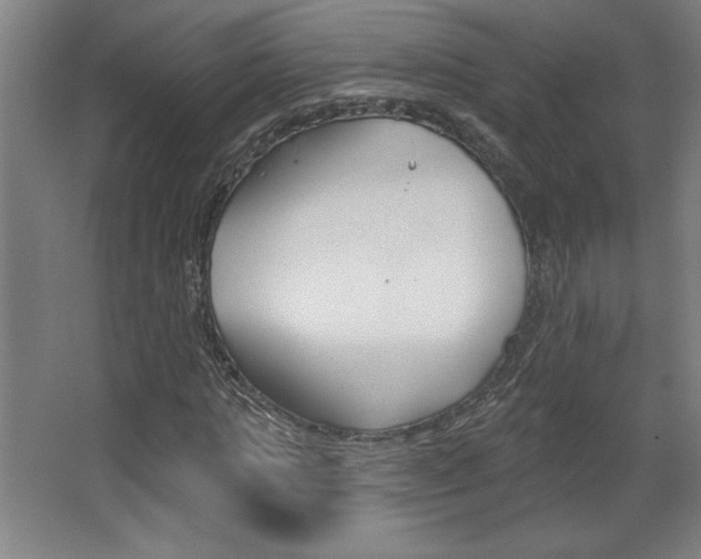 X0000068720821200604280922