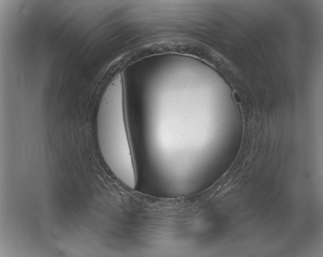 X0000068720822200604280922