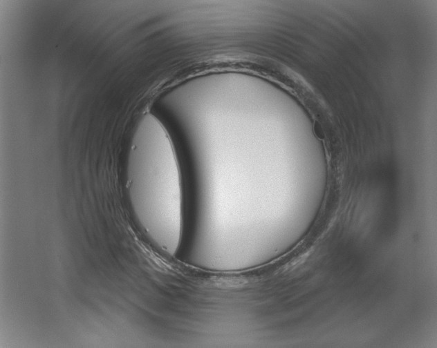 X0000068720825200604280922