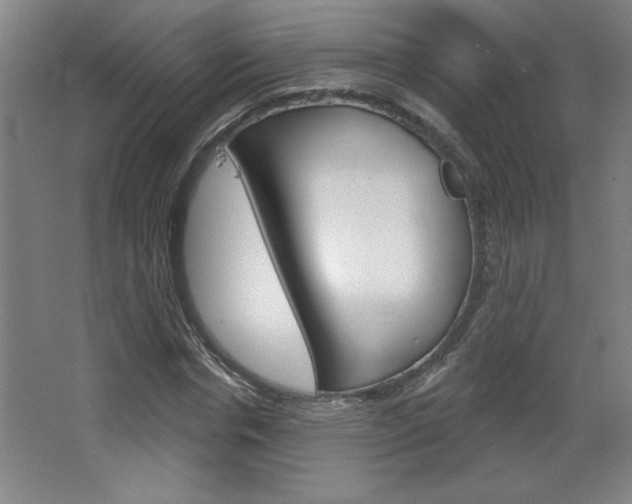 X0000068720826200604280922