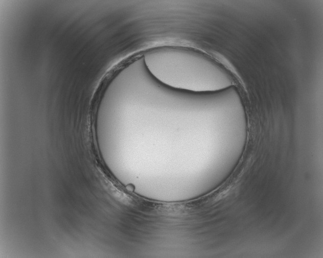X0000068720831200604280922
