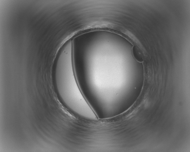 X0000068720834200604280922
