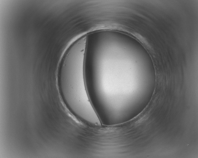 X0000068720846200604280922