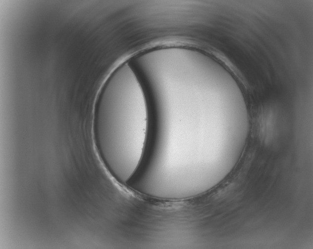 X0000068720853200604280922