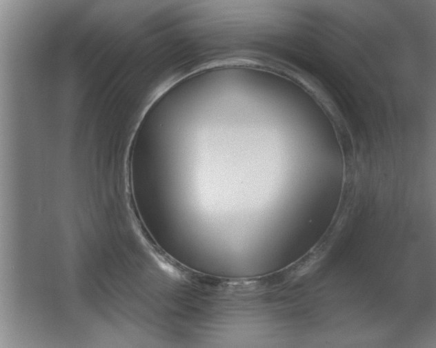 X0000068720858200604280922
