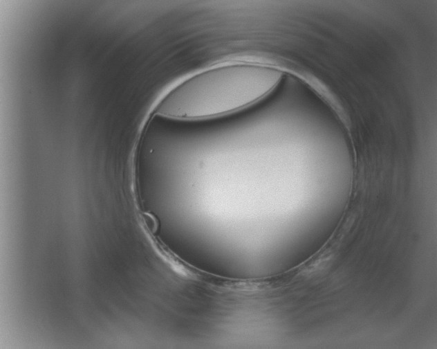 X0000068720862200604280922