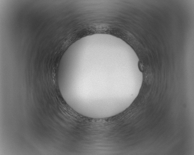 X0000068720866200604280922