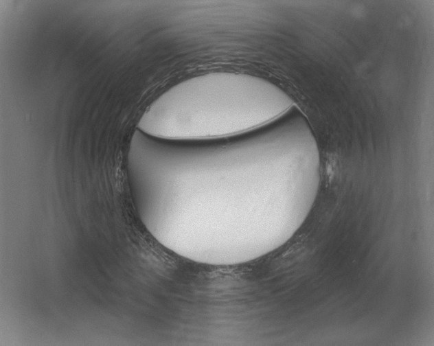 X0000068720867200604280921
