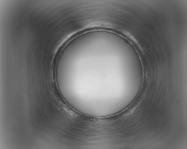 X0000068720877200604280921