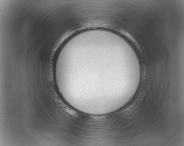X0000068720878200604280921