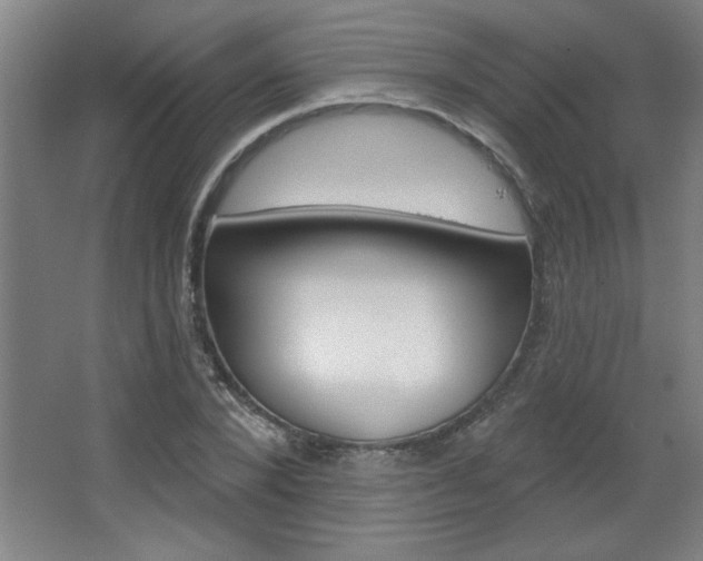 X0000068720880200604280921