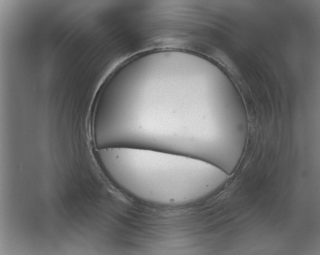 X0000068720891200604280921