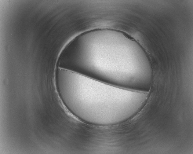 X0000068720904200604280921