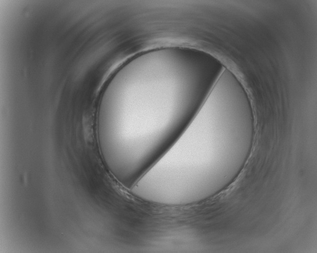 X0000068720912200604280921