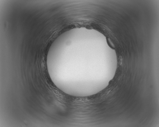 X0000068720915200604280920