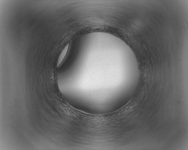X0000068720916200604280920