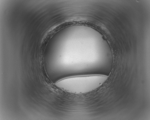 X0000068720920200604280920
