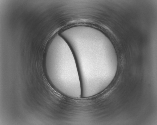 X0000068720921200604280920