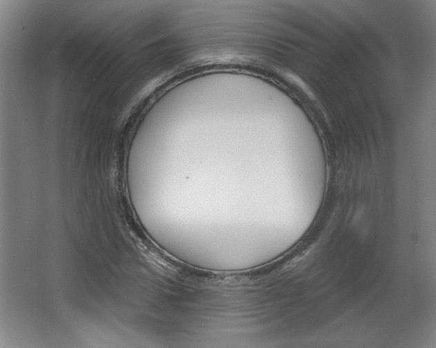 X0000068720922200604280920