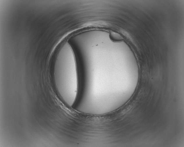 X0000068720923200604280920
