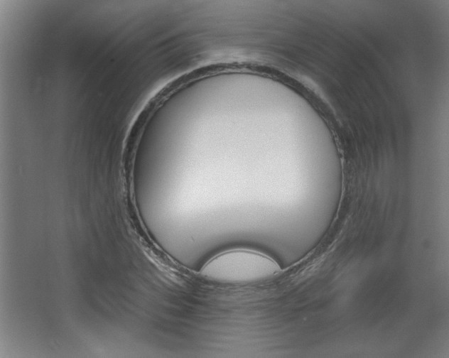 X0000068720927200604280920