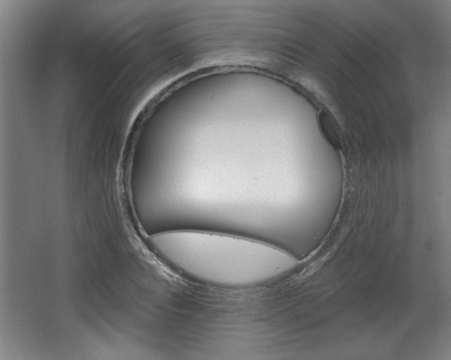 X0000068720928200604280920