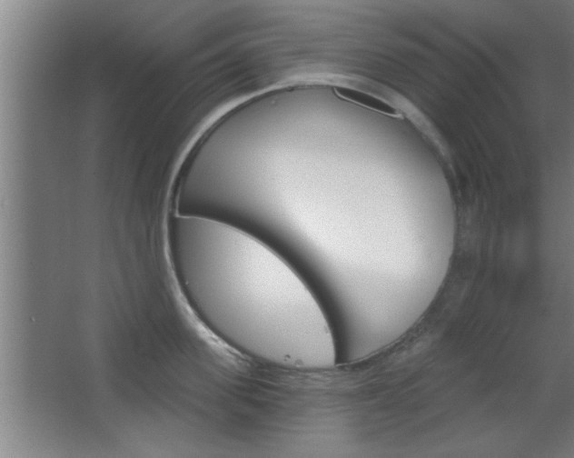 X0000068720955200604280921