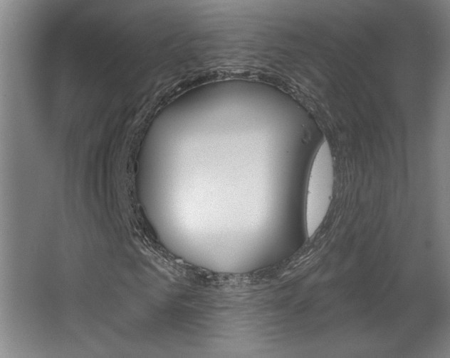 X0000068720961200604280920
