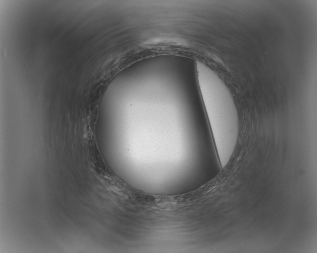 X0000068720965200604280920