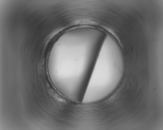 X0000068720971200604280920