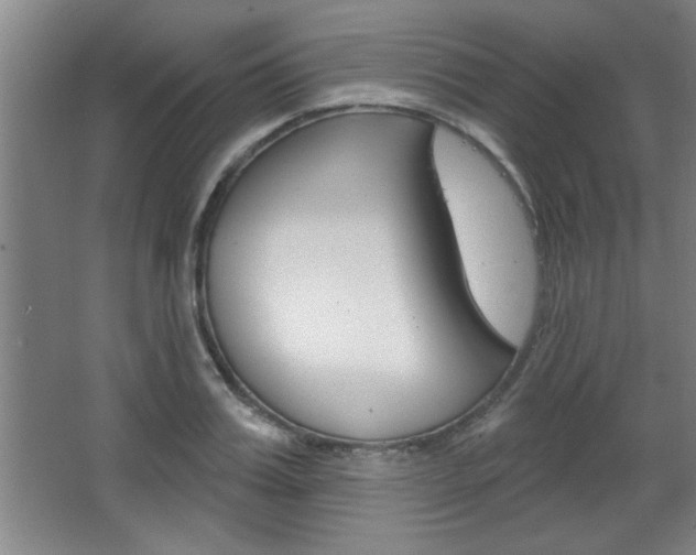 X0000068720987200604280919