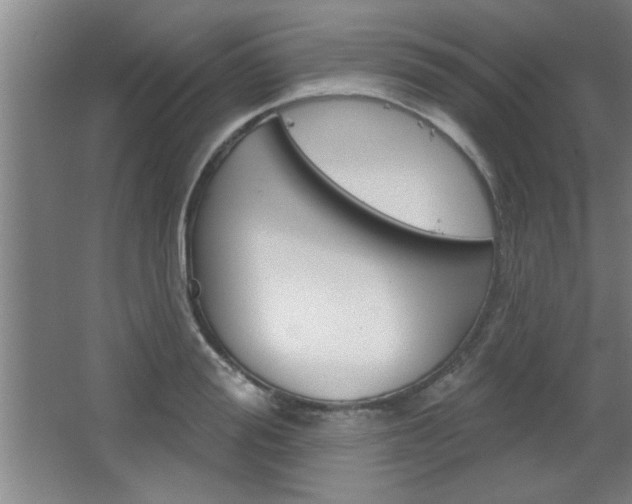 X0000068720988200604280919