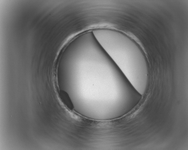X0000068720989200604280919