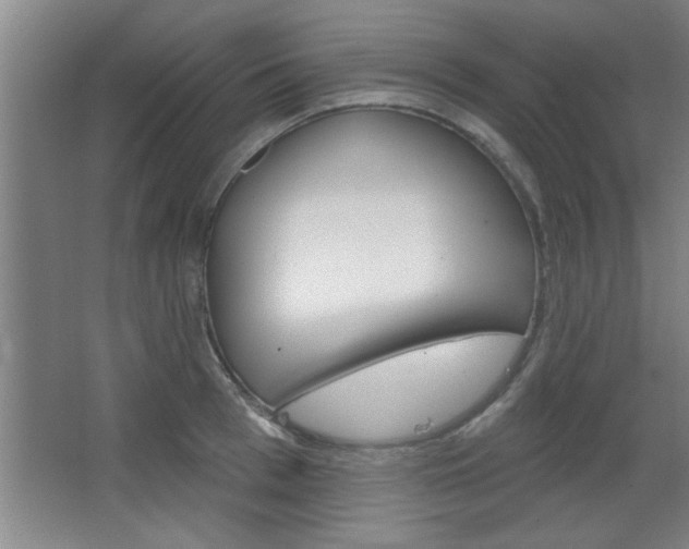 X0000068720993200604280919