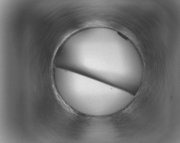 X0000068721008200604280919