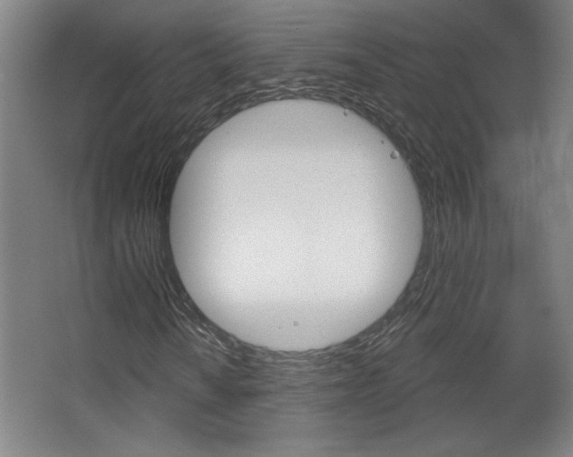 X0000068721010200604280918