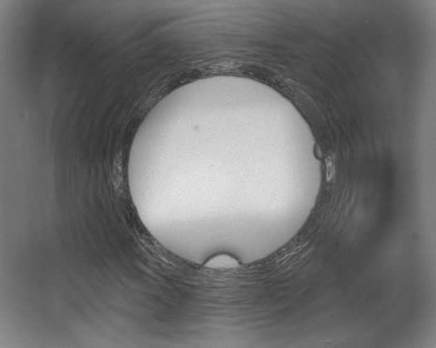 X0000068721011200604280918