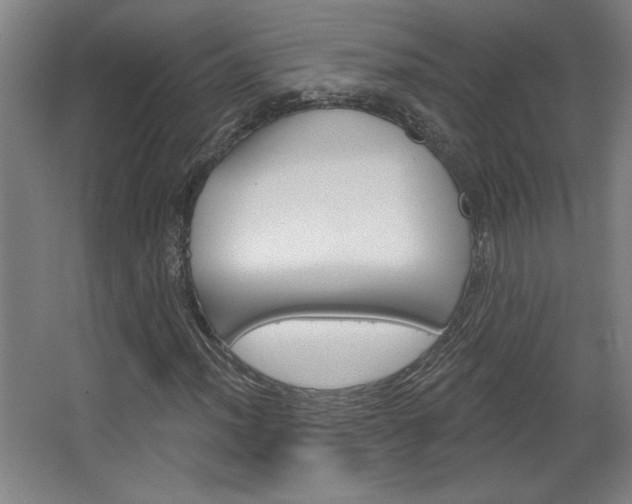 X0000068721012200604280918