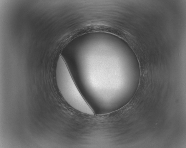 X0000068721014200604280918