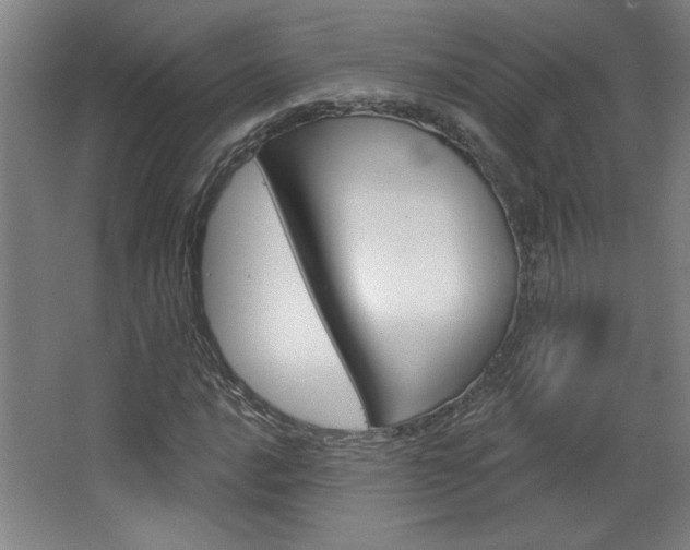 X0000068721016200604280918