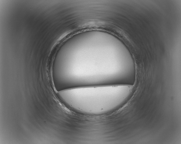 X0000068721018200604280918