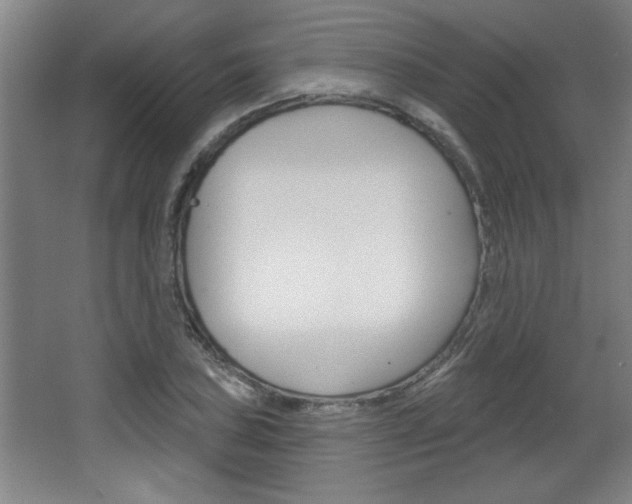 X0000068721027200604280919