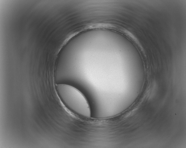 X0000068721041200604280919
