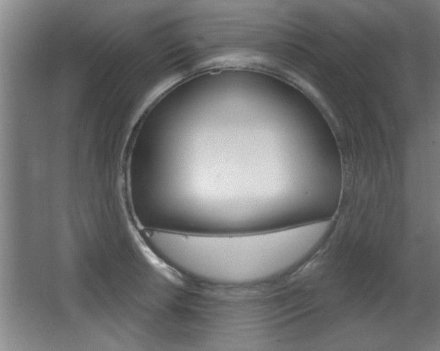 X0000068721042200604280919