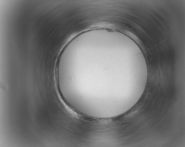 X0000068721055200604280919