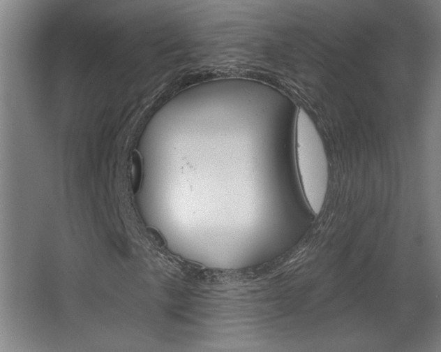 X0000068721057200604280918
