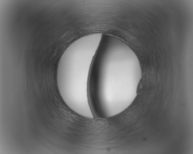 X0000068721058200604280918